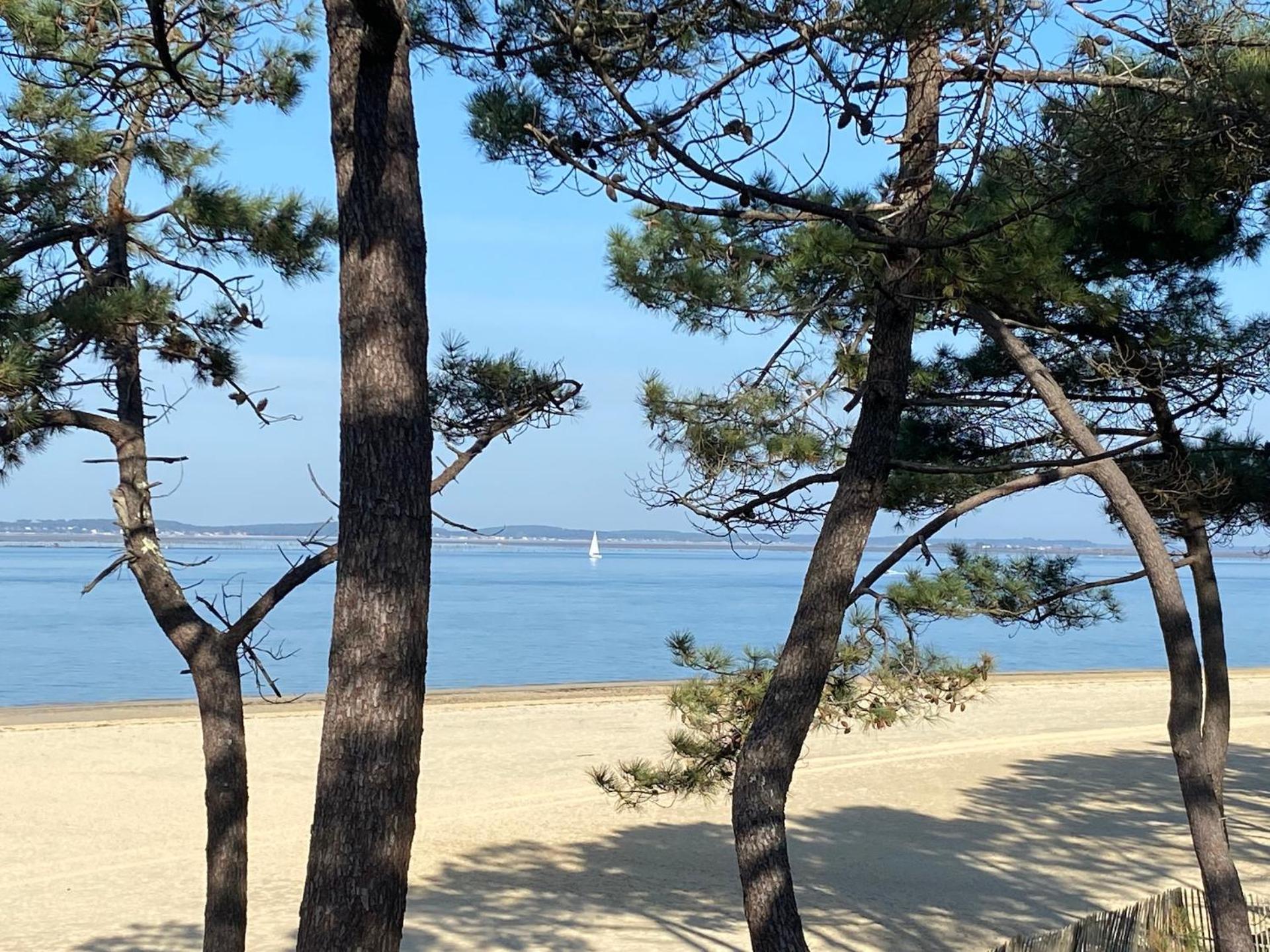 Charme & Confort- Les Cottages Du Bassin D'Arcachon- Petit-Dejeuner Sur Demande - Nuitee, Court Sejour, Semaine Gujan-Mestras Kültér fotó