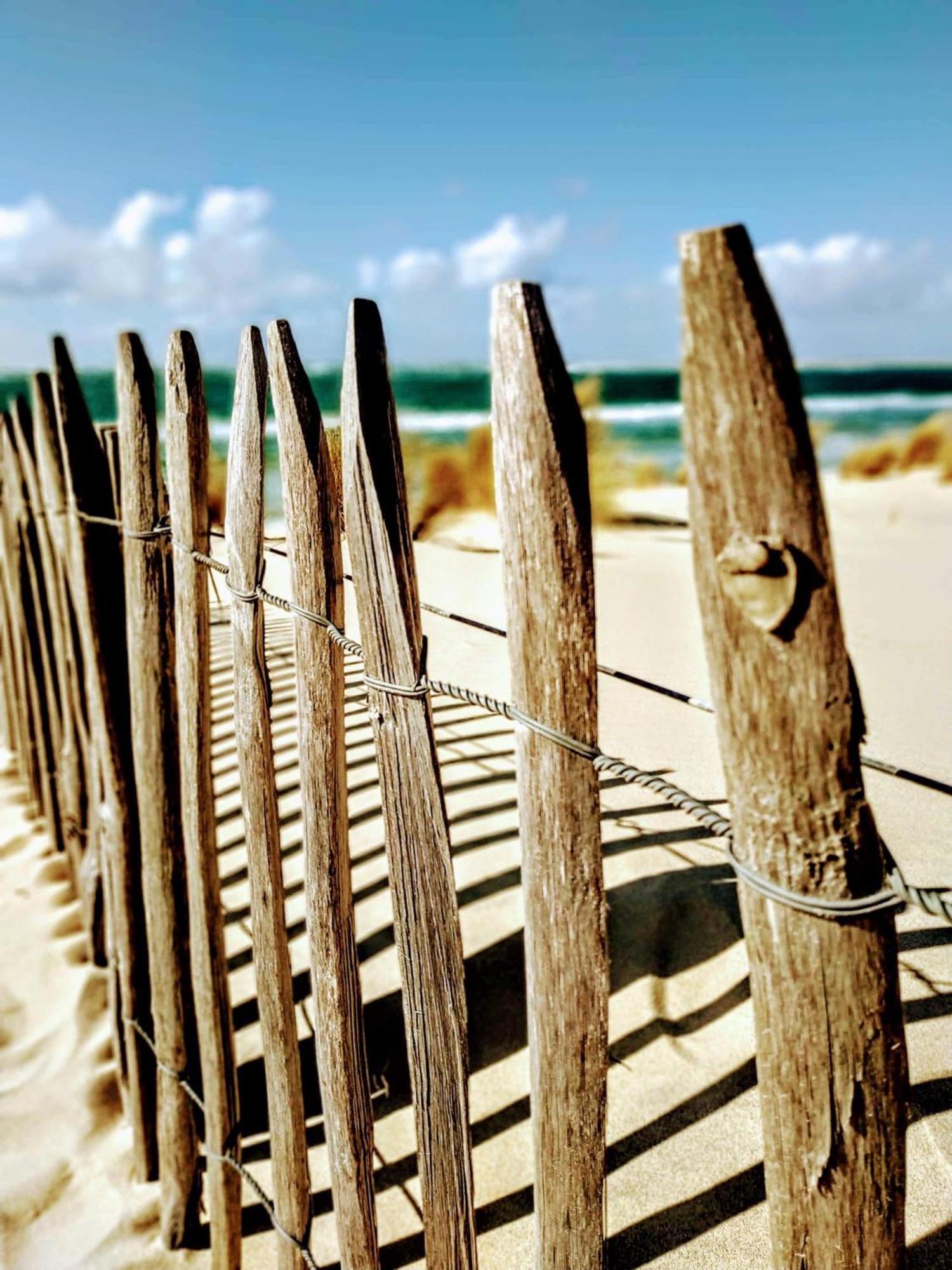 Charme & Confort- Les Cottages Du Bassin D'Arcachon- Petit-Dejeuner Sur Demande - Nuitee, Court Sejour, Semaine Gujan-Mestras Kültér fotó
